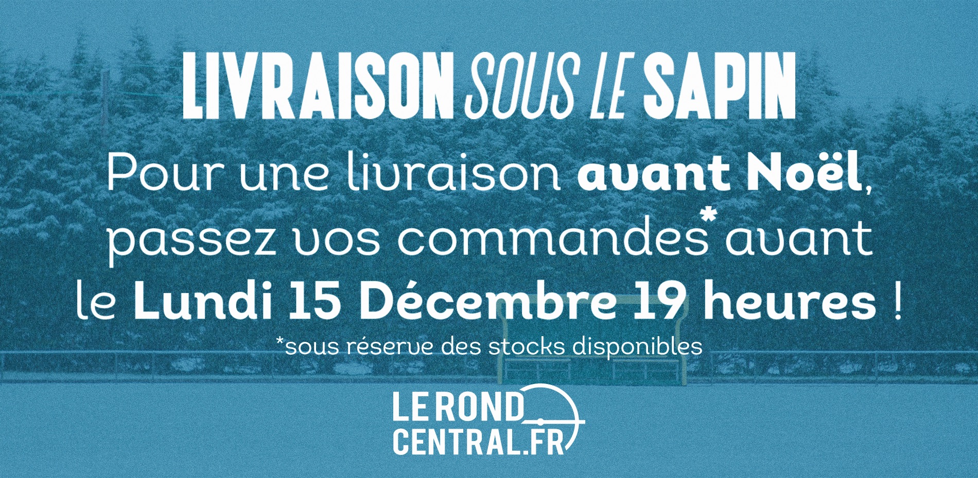 LIVRAISON AVANT NOËL