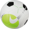 Ballon Nike Pro Futsal